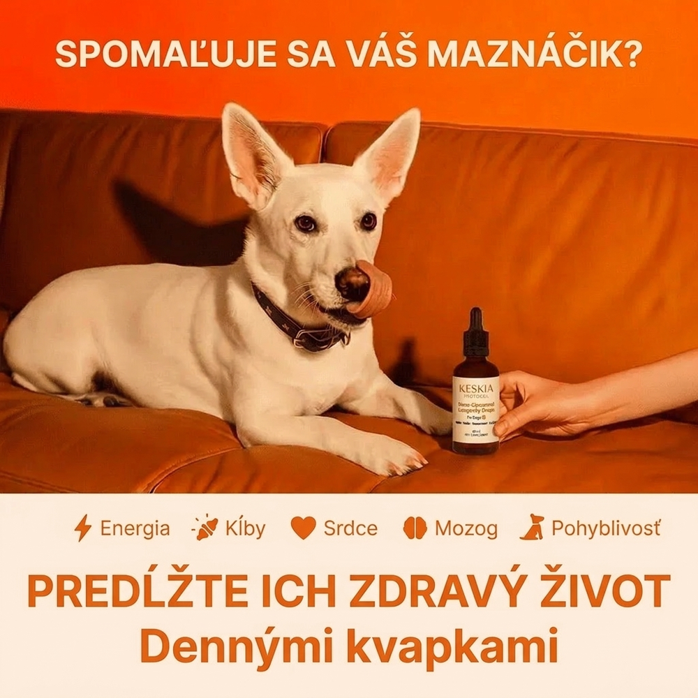 Keskia Protocol SK