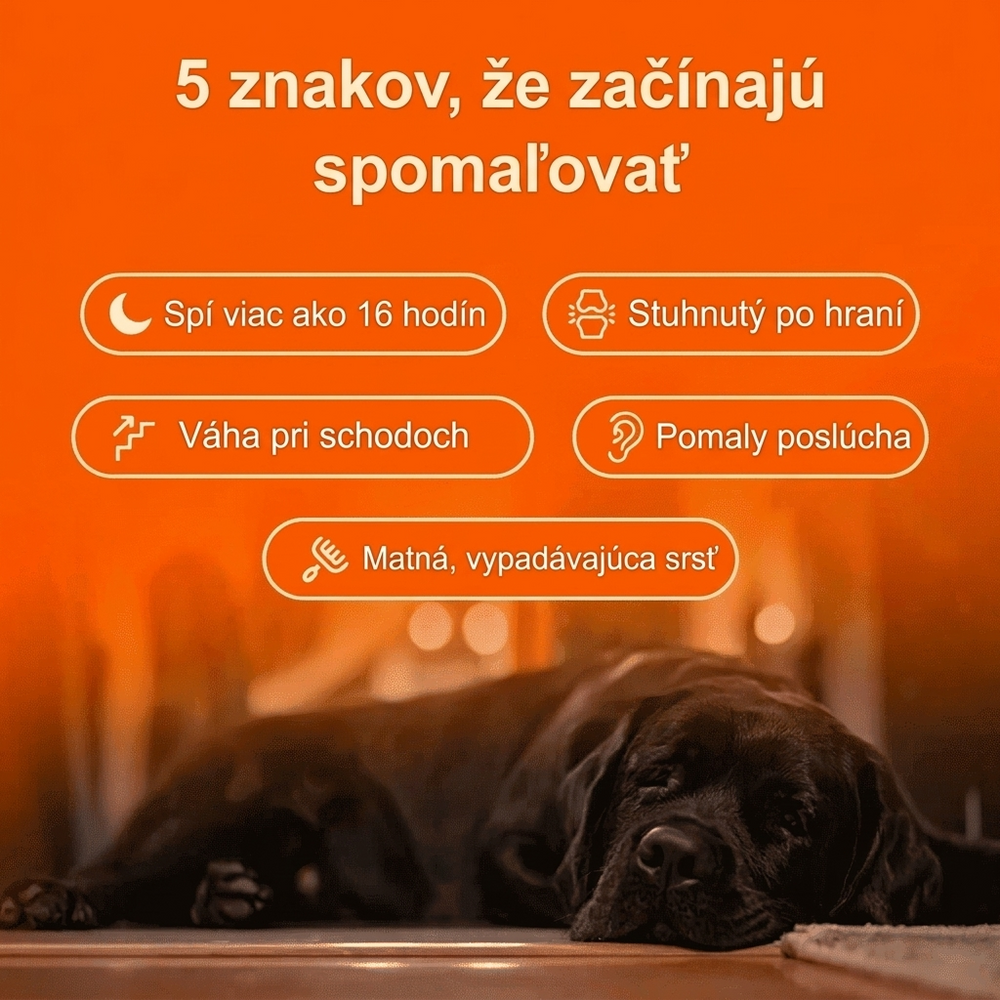 Keskia Protocol SK