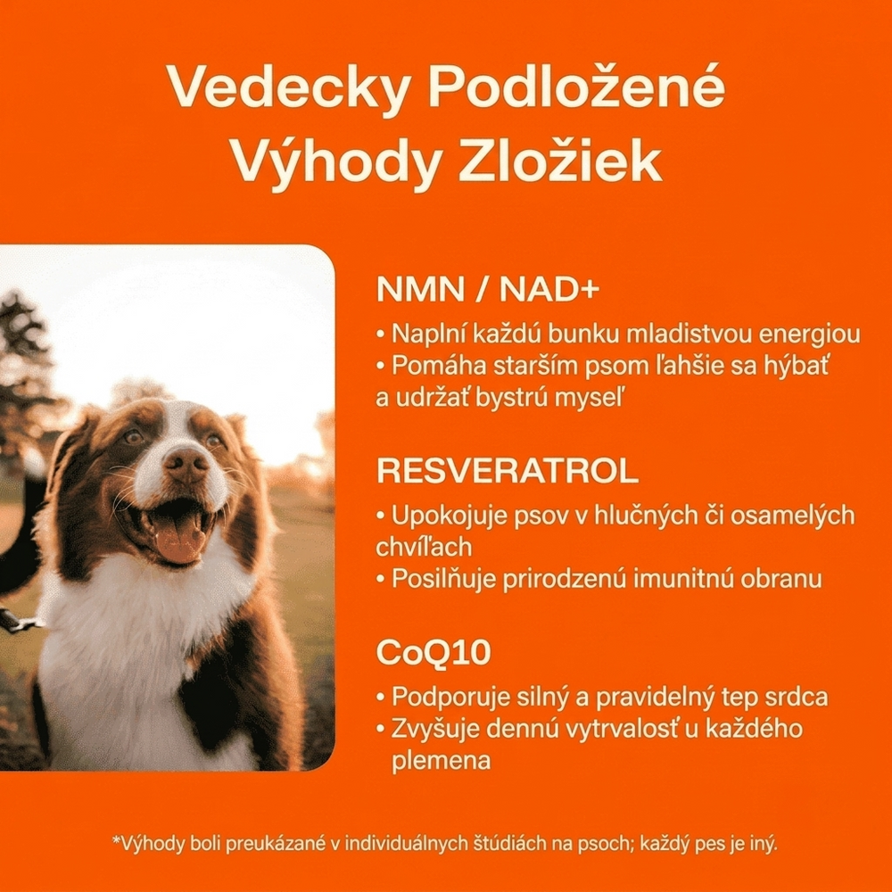 Keskia Protocol SK