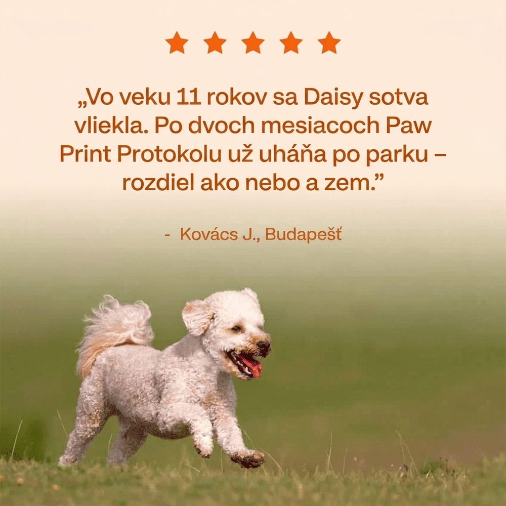 Keskia Protocol SK