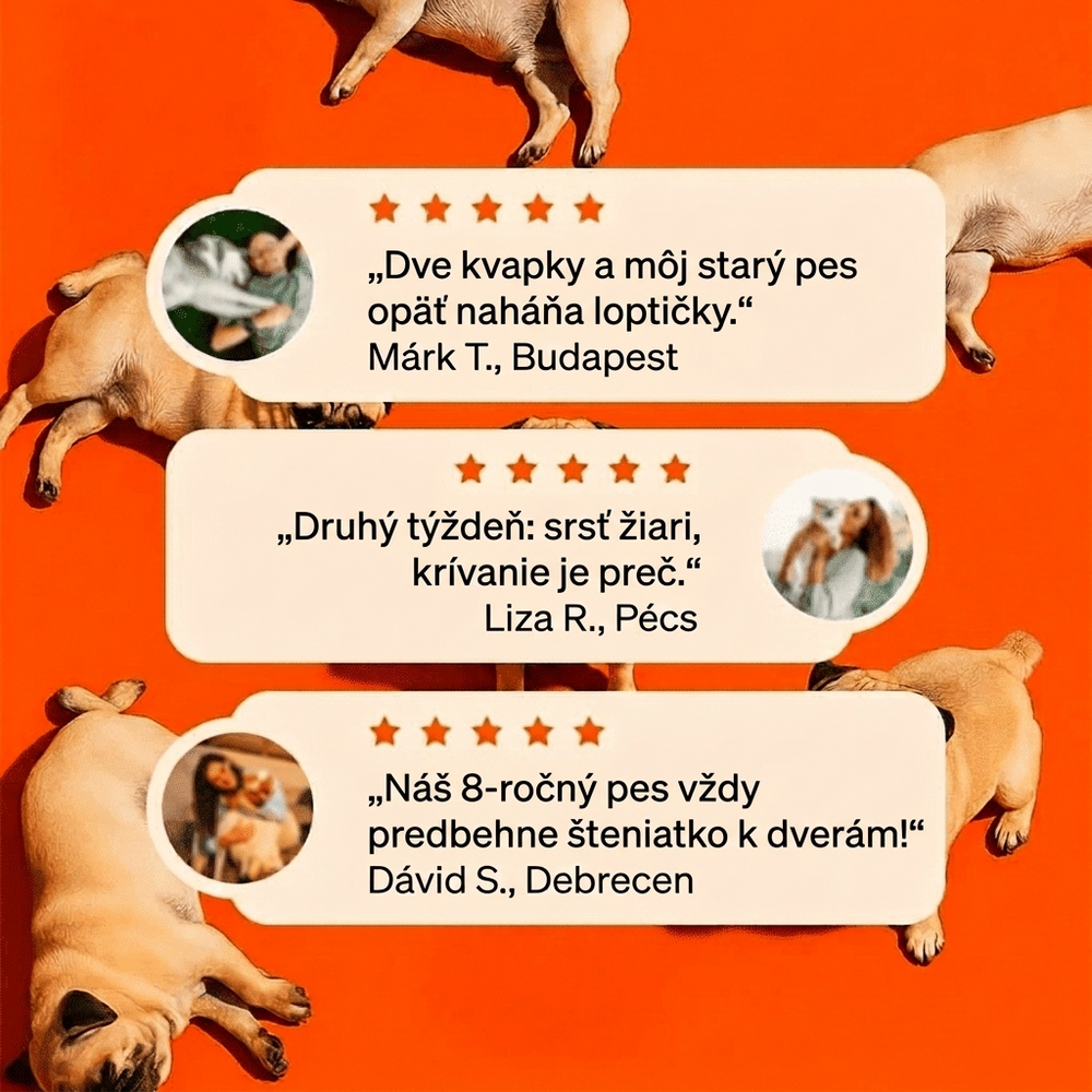 Keskia Protocol SK