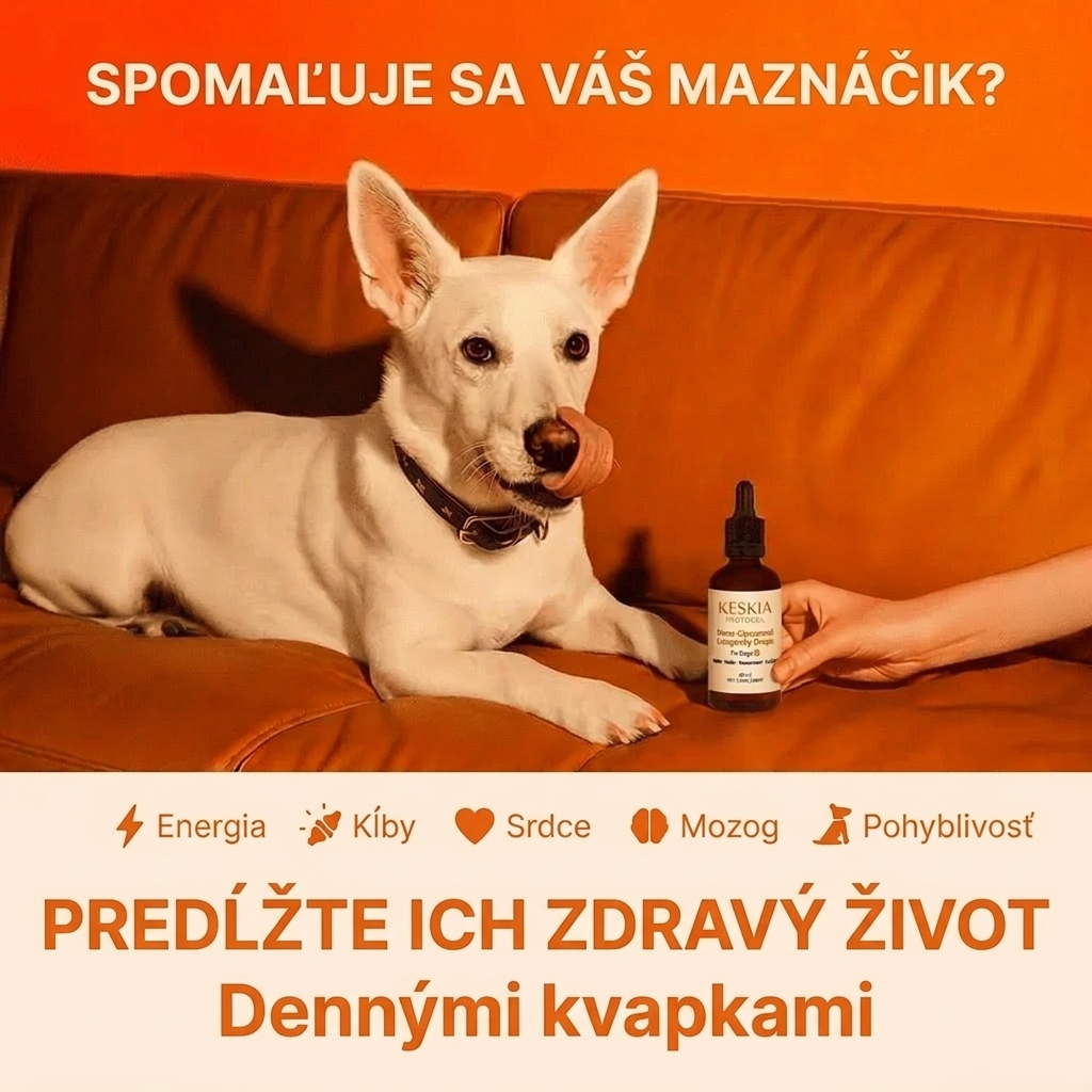 Keskia Protocol SK