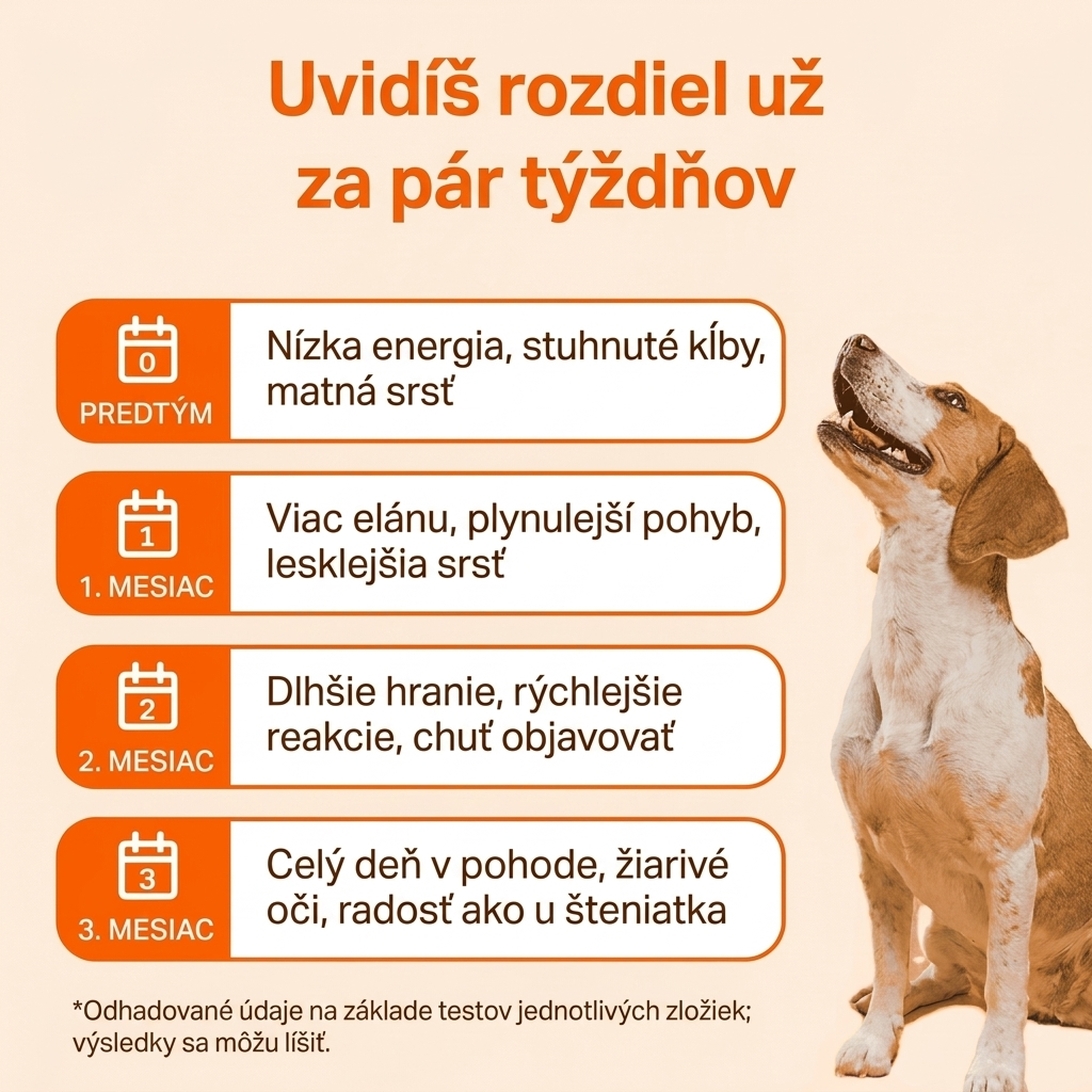Keskia Protocol SK